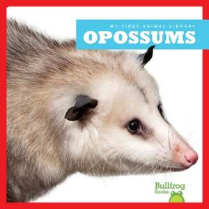 Opossums by Mari Schuh