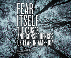 Fear Itself: The Causes and Consequences of Fear in America by Joseph O. Baker, Ann Gordon