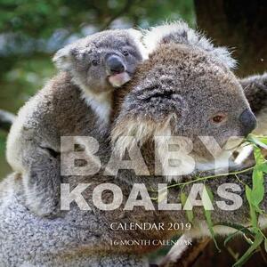 Baby Koalas Calendar 2019: 16 Month Calendar by Mason Landon