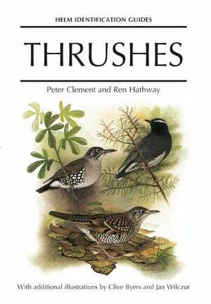 Thrushes by Ren Hathway, Peter Clement, Clive Byers