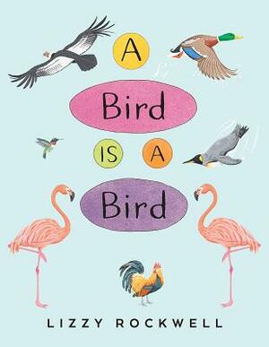 A Bird Is a Bird by Lizzy Rockwell