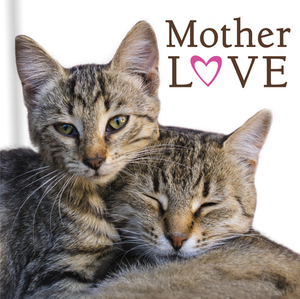 Mother Love (Cats) by New Seasons, Publications International Ltd