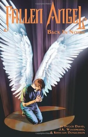 Fallen Angel Volume 3: Back In Noire by Peter David, Kristian Donaldson, J.K. Woodward