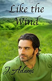 Like the Wind by Jewel Adams