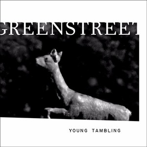 Young Tambling by Kate Greenstreet