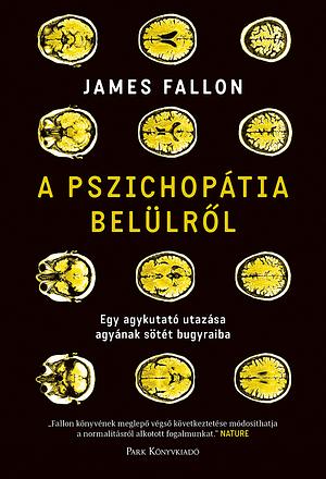 A pszichopátia belülről: Egy agykutató utazása agyának sötét bugyraiba by James Fallon