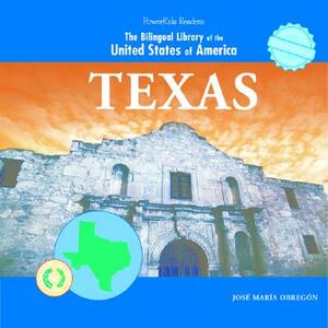 Texas by Jose Maria Obregon