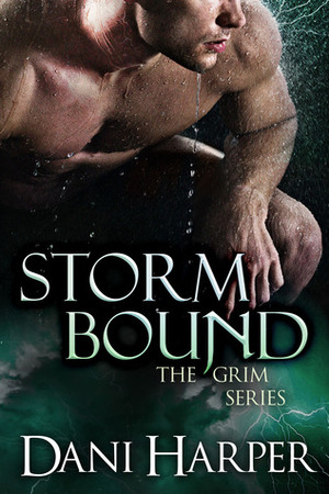 Storm Bound by Dani Harper