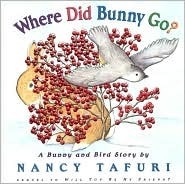Where Did Bunny Go?: A Bunny and Bird Story by Nancy Tafuri