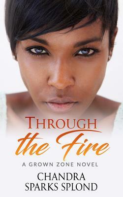 Through the Fire by Chandra Sparks Taylor, Chandra Sparks Splond