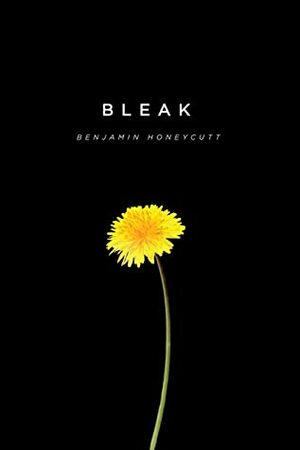 Bleak: A Story of Bullying, Rage, and Survival by Anaya Walker, Pearl Sonnenschein, Benjamin Honeycutt, Shelby Miller