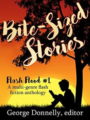 Bite-Sized Stories: A Multi-Genre Flash Fiction Anthology by George Saoulidis, Karen Diem, Raquel Lyon, K.D. McAdams, Andrew K. Lawston, Michael Barbato-Dunn, J.T. Williams, Adam Hughes, Tom Germann, Jamie Campbell, J.C. Kang, David J. Core, Jessie Thomas, Jaleta Clegg, Connie B. Dowell, Lynda Belle, Adan Ramie, Brian Manning, Marilyn Vix, Tricia Owens, Jennifer Lewis, P.T. Phronk, Emily Martha Sorensen, George Donnelly, Griffin Carmichael