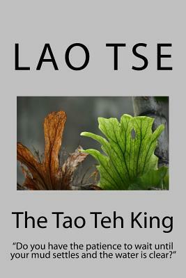 The Tao Teh King: Do You Have the Patience to Wait Until Your Mud Settles and the Water Is Clear? by Lao Tse