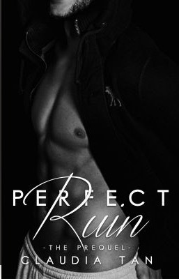 Perfect Ruin by Claudia Tan
