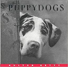 Puppy Dogs by Hulton Getty