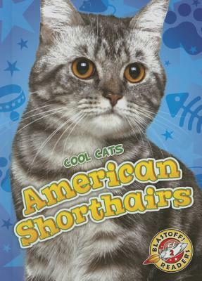 American Shorthairs by Christina Leaf