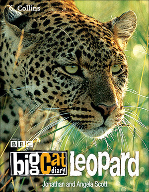 Big Cat Diary: Leopard by Angela Scott, Jonathan Scott