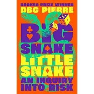 Big Snake Little Snake: An Inquiry into Risk by DBC Pierre