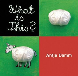 What Is This? by Antje Damm