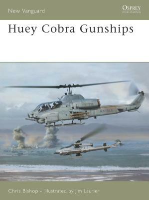 Huey Cobra Gunships by Chris Bishop