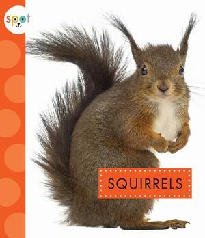 Squirrels by Wendy Strobel Dieker