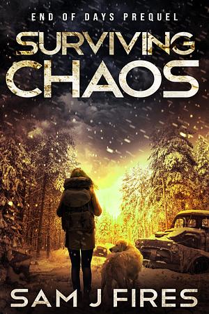 Surviving Chaos by Sam J Fires, Sam J Fires