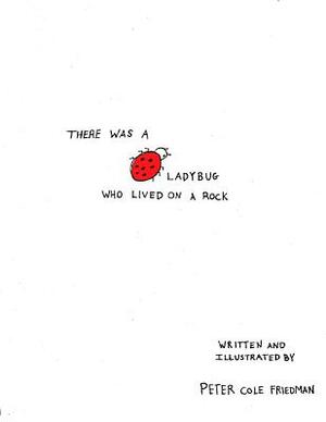 There Was a Ladybug Who Lived on a Rock by Peter Cole Friedman