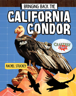 Bringing Back the California Condor by Rachel Stuckey