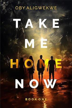 Take Me Home Now 1 by Oby Aligwekwe, Oby Aligwekwe