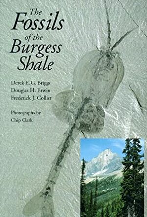 The Fossils of the Burgess Shale by Frederick J. Collier, Derek E.G. Briggs, Douglas H. Erwin