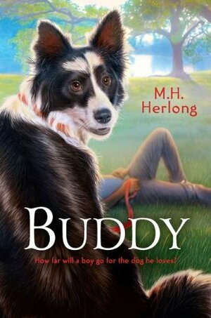 Buddy by M.H. Herlong