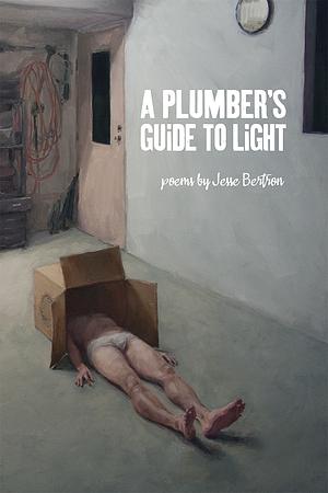 A Plumber's Guide to Light by Jesse Bertron