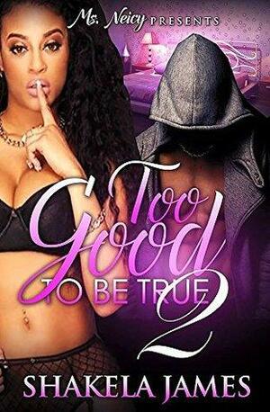 Too Good to Be True 2 by Shakela James