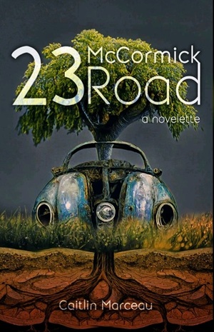 23 McCormick Road  by Caitlin Marceau