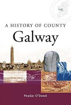 A History Of County Galway by Peadar O'Dowd