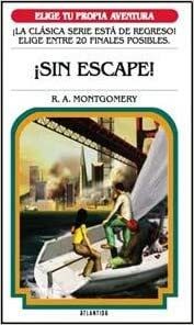 Sin escape by R.A. Montgomery
