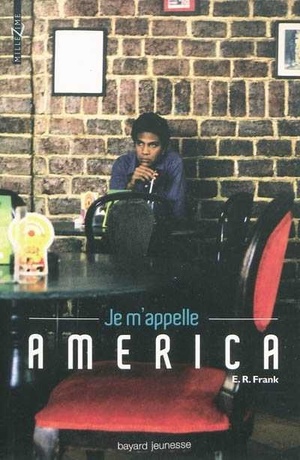 Je m'appelle America by E.R. Frank