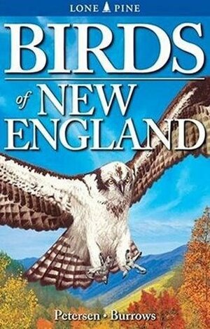 Birds of New England by Roger Burrows, Wayne Petersen