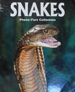 Snakes by Jane Parker Resnick