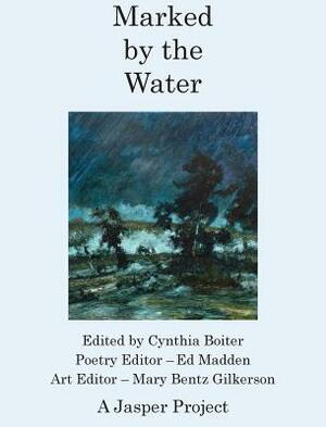 Marked by the Water: Artists Respond to a Thousand Year Flood by Ed Madden, Mary Bentz Gilkerson, Cynthia A Boiter