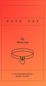 Good Boy by Akiva Lee