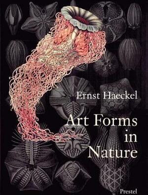 Art Forms in Nature: The Prints of Ernst Haeckel by 