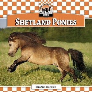 Shetland Ponies by Breann Rumsch