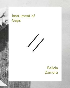 Instrument of Gaps by Felicia Zamora