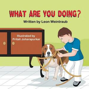 What Are You Doing? by Leon Weintraub