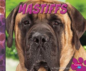 Mastiffs by Allan Morey