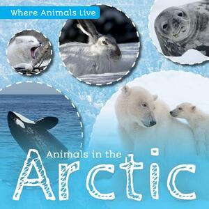 Animals in the Arctic by John Wood