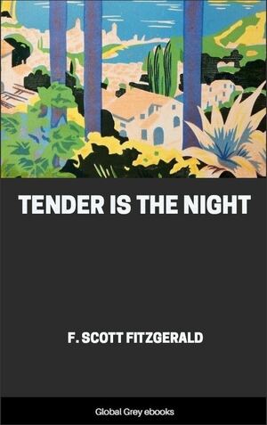 Tender is the Night by F. Scott Fitzgerald