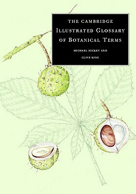 The Cambridge Illustrated Glossary of Botanical Terms by Clive King, Michael Hickey
