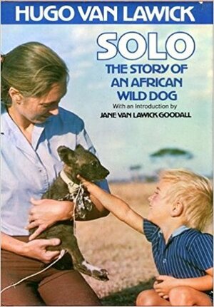 Solo: The Story of an African Wild Dog by Hugo van Lawick
